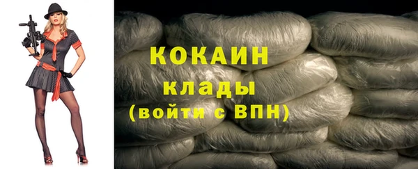 прущие грибы Кукмор
