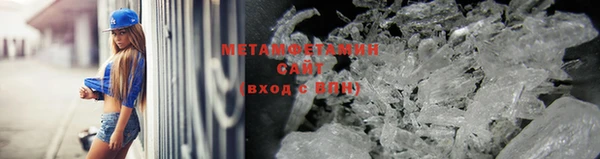 прущие грибы Кукмор