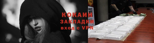 прущие грибы Кукмор