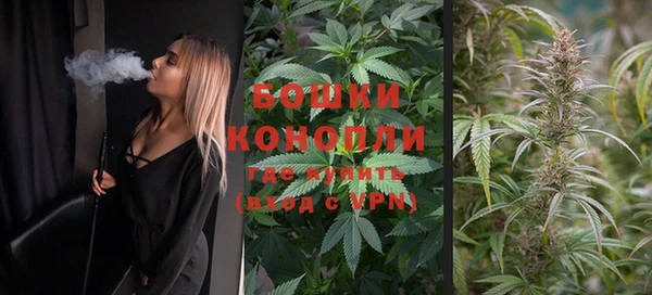 прущие грибы Кукмор
