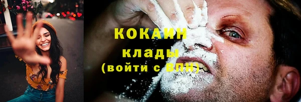 прущие грибы Кукмор