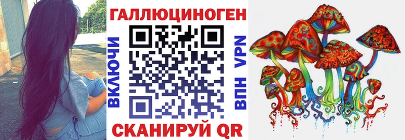 Псилоцибиновые грибы GOLDEN TEACHER  Купить  Питкяранта 